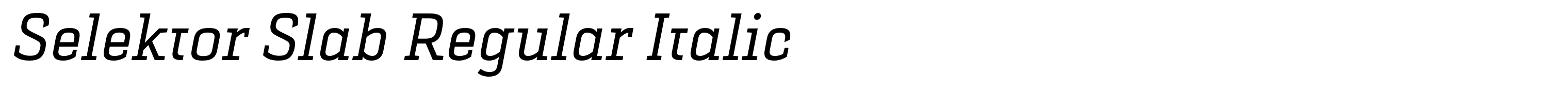 Selektor Slab Regular Italic